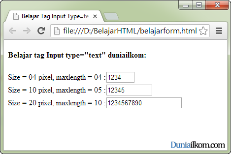 Input описание. Типы тега input. Input Type text html. Атрибут maxlength. Тег инпут.
