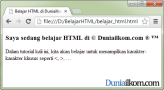 Cara Menampilkan dan Memasukkan Karakter Khusus ke dalam HTML | Duniailkom